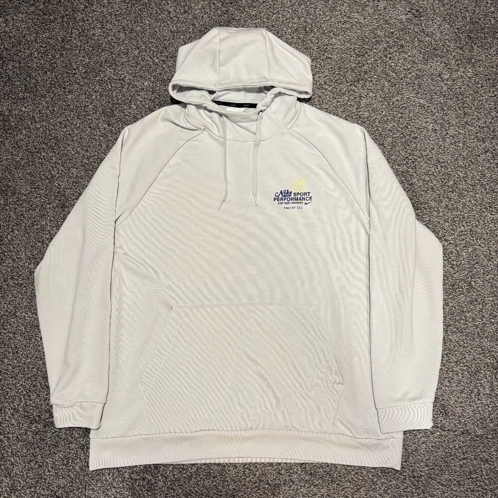 Nike Dri-Fit GFX Pullover Hoodie Photon Dust (FN3285-025), Size XL